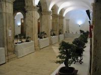 Cisterna 2003